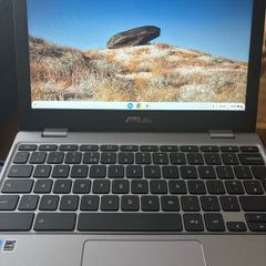 asus chrome book