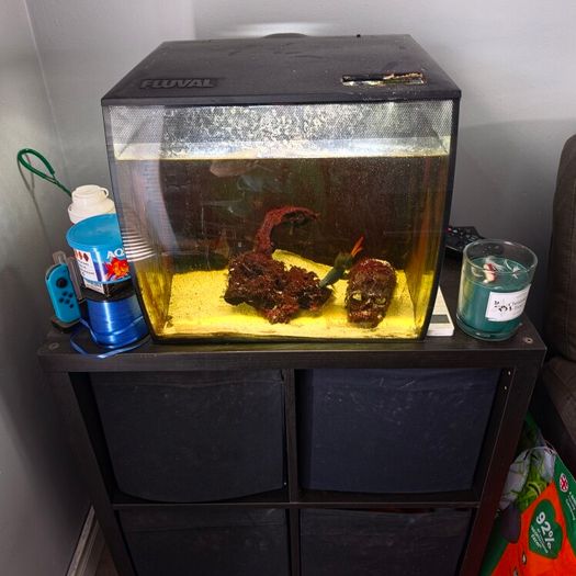 fish tank