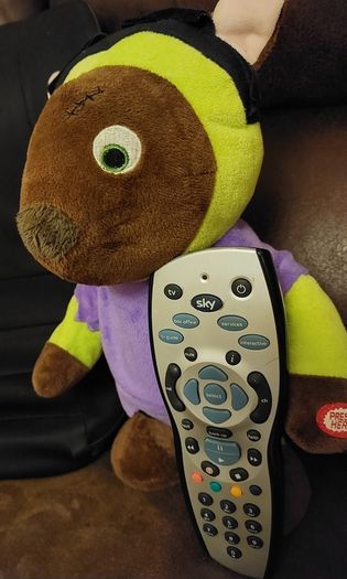 Frankenstein's singing plush ; (897)  2