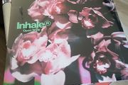 Inhaler open wide exclusive glow in the dark vinyl