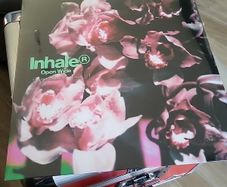 Inhaler open wide exclusive glow in the dark vinyl