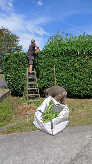 Garden services