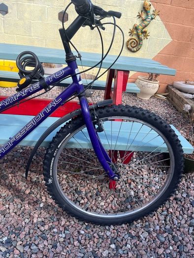 bike size 24