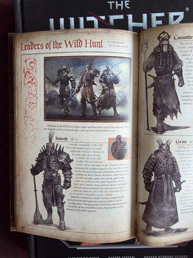 The Witcher Books