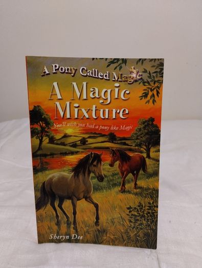 A Pony Called Magic Children,s Story Book