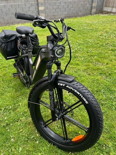 Fiido Titan E-bike