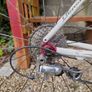 Road Bike (Carbon / Ultegra) Image 2