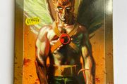 Hawkman: Endless Flight