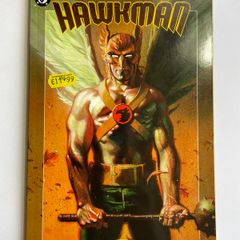 Hawkman: Endless Flight