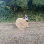 Hay for sale Image 2