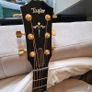Taylor 614 Ce Ltd 50th Anniversary Image 2
