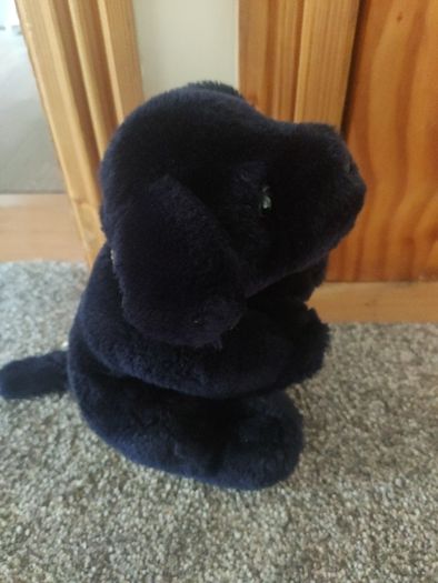 Bundle of 2 Soft Toy Dogs Keel Toys and Primark Plushies
