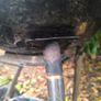 Bbq Image 7