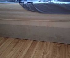 Free beds