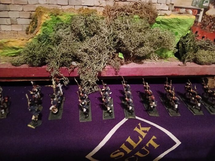 Fort and Soldiers