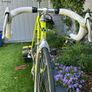 Colnago Master Image 2