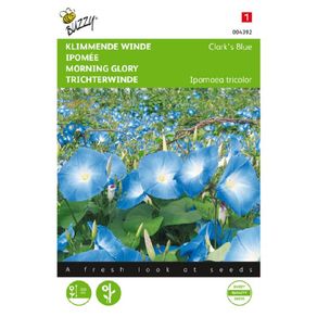 (M) Morning Glory seeds Clark's Blue 2g (043928)