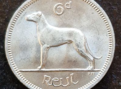Fantastic Ireland 1964 Six Pence 6d coin