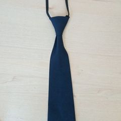 Navy school tie
