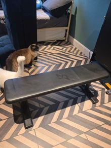 exercise bench- Speediance non adjustable bench