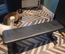 exercise bench- Speediance non adjustable bench