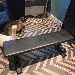 exercise bench- Speediance non adjustable bench
