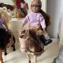 Horses Image 5