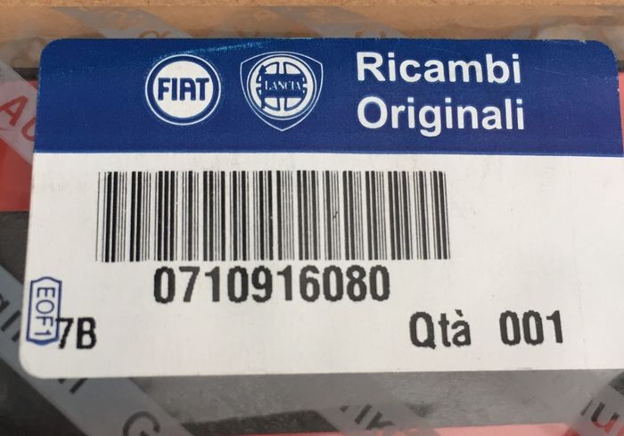 LH Front Door Moulding (Fiat Punto 176)