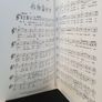 Songs and Dances of Ireland: Arranged for Recorder, Flute and Penny Whistle by Peter J. Lavender (HQ620) Image 3