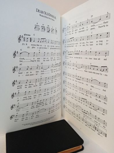 Songs and Dances of Ireland: Arranged for Recorder, Flute and Penny Whistle by Peter J. Lavender (HQ620)
