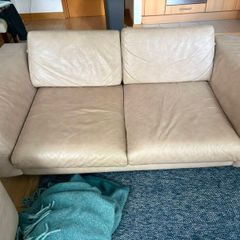 Leather Sofas