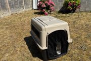 Travel Kennel