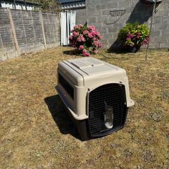 Travel Kennel