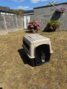 Travel Kennel