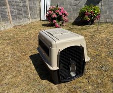 Travel Kennel