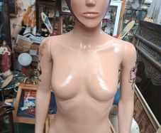 Female Mannequin Bust