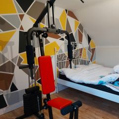 Multi Purpose Home Gym