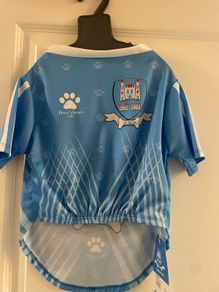Dublin GAA Jersey for dog size M New