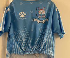 Dublin GAA Jersey for dog size M New
