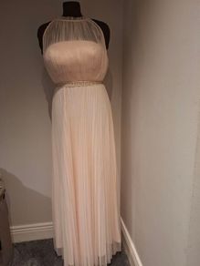 Coast Blush Gown Size 12