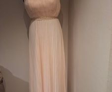 Coast Blush Gown Size 12