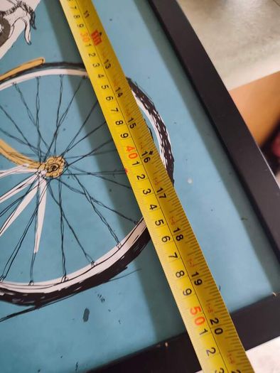 Picture of Bicycle.