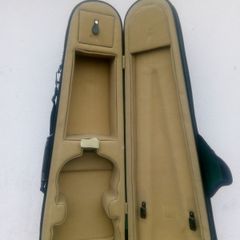 Violin carry case