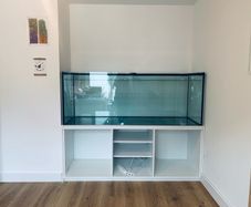 fish tank