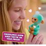 interacting toy Image 2