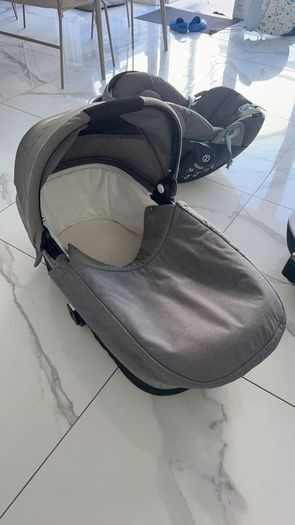 Buggy : Stroller + Carrycot