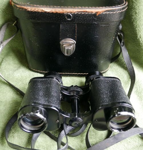 Vintage Japan Binoculars Ronoco 8 x 30