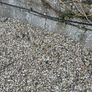 Garden Gravel Free Image 5