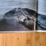 White Paradice. A Journey To The North Pole By Frances Latreille. Beautiful Large Coffee Table Book Filled With Pages Of Beautiful Illustrated Photography. Image 5