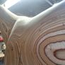 Life Size Replica Solid Wooden Horse Image 7